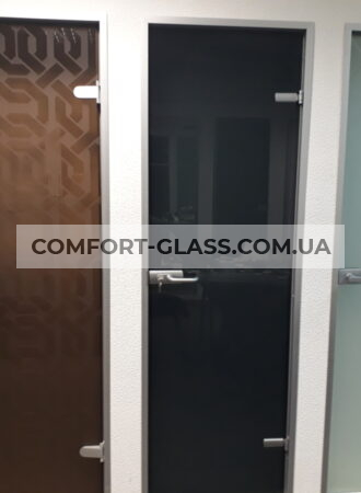 Міжкімнатні скляні двері з піскоструйним малюнком